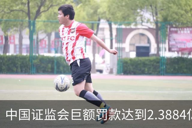 中国证监会巨额罚款达到2.3884亿